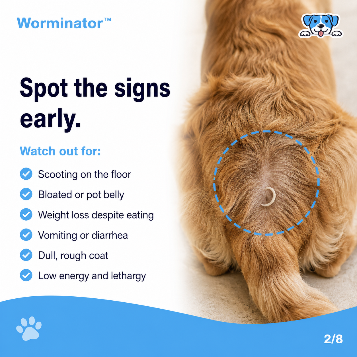Worminator